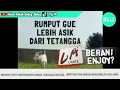 Download Lagu LA Lights (Rumput Gue) 2011 x DJ Melody Habibi 2024
