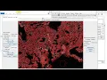 Deep learning-based segmentation for biologists - Combining results from U-Net and Mask R-CNN