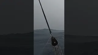 Intense Sailing ⛵️