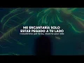 Download Lagu Rex Orange County - The Shade (Traducida al Español + Lyrics)