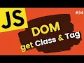 JavaScript Elements Selection Tag Name from the DOM Learn JavaScript