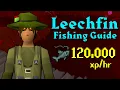 COMPLETE Leechfin Fishing Guide