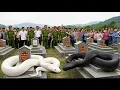 Download Lagu Aneh Tapi Nyata: Proyek Pembangunan Sekolah Dihentikan Karena Dua Ular Penjaga Makam