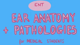 Download ENT - Ear Anatomy + Pathologies for Medical Students MP3