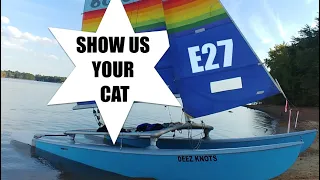 Show us your cat! Episode 27 USA and CANADA