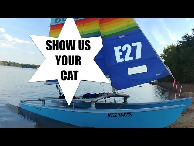 Show us your cat! Episode 27 USA and CANADA