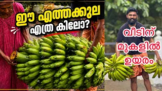 വീടിന് മുകളിൽ വളർന്ന കൂറ്റൻ ഏത്തവാഴ വെട്ടിയപ്പോൾ 🥰 #achayanarmyfamily 
