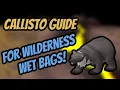 Callisto For Wilderness Wetbags - The Best Guide OSRS