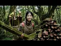 Lagu Han's crazy journey in the jungle: harvesting precious herbs that astonished everyone.