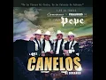 Los Tres Gallos (Tololoche)