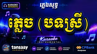 ភ្លេច ភ្លេងសុទ្ធ ស្រី - Plech Pleng Sot Srey - Tonsaay Karaoke