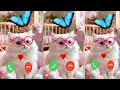 Download Lagu Beste Ringtone-melding van 2025 🎶 Schattige kattenringtone 🎶🎼 Geweldige Ringtone-video