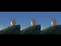 seize the day - ben fankhauser ( 𝕤𝕝𝕠𝕨𝕖𝕕 + 𝕣𝕖𝕧𝕖𝕣𝕓𝕖𝕕 )