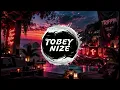 BUNT., Mapei - TRIPPIN (TOBEY NIZE REMIX)