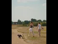Download Lagu Zendaya and tom holland and their dog noon new viral video #viralshort #viralvideo #zendaya#shorts