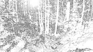 Антіла TDME Там де ми є 