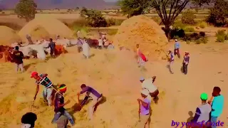ምርጥ የምንጃር ዘፈን 