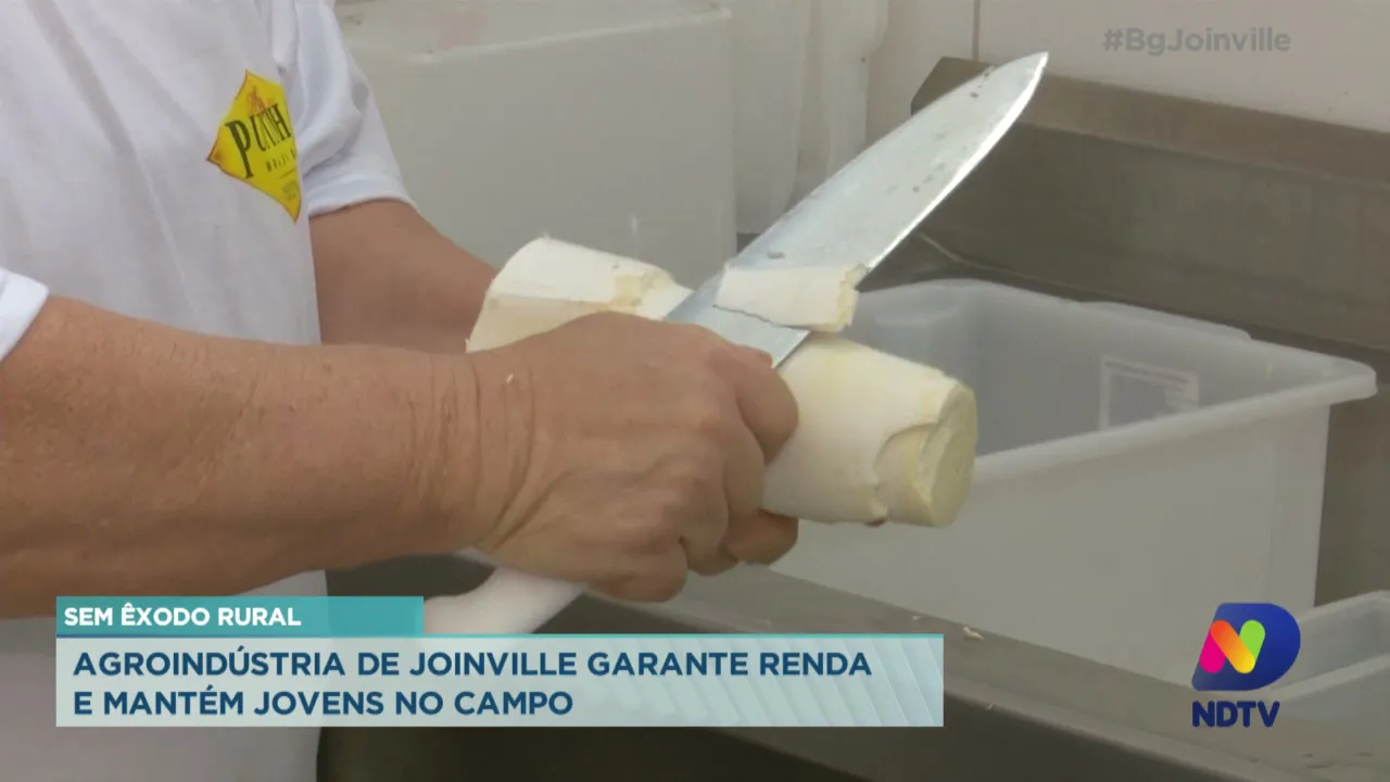 Sem êxodo rural: Agroindústria de Joinville garante renda e mantém jovens no campo