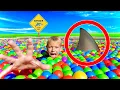 I Found A SHARK In My Swimming Pool