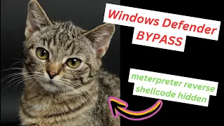 Cyber Security - Bypass Windows Defender with