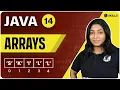Arrays Types Declaration Creation Operations Lecture 14 Java and DSA Foundation Course