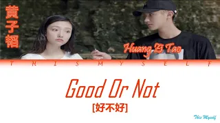 Download Huang Zi Tao (黄子韬) - Good Or Not (好不好) [The Brightest Star In The Sky (夜空中最闪亮的星) OST] MP3