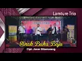 Download Lagu Anak Buha Baju - Lamture Trio