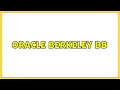 Oracle Berkeley DB