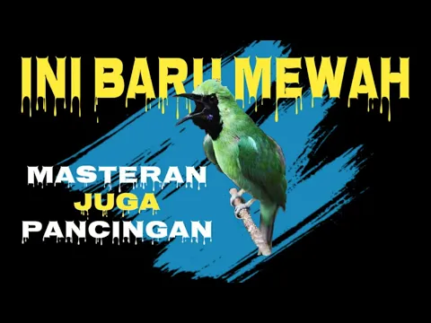 Download MP3 Ini Baru Masteran Cucak Ijo Mewah‼️Besetan & Roll Tembak Kasar Paling Dicari