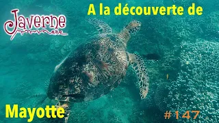 #147 On découvre Mayotte
