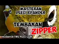 Download Lagu MASTERAN PLECI XPANDER TEMBAKAN ZIPPER TERBARU 2022