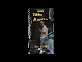 Ti Mas di /Gores - MarvTown /Gurisen