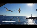 Download Lagu 432Hz Turkish Music Mix By Sinan Mercenk