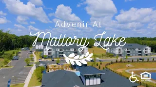 Advenir at Mallory Lake LaGrange GA Apartments Greystar