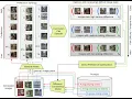 Curriculum Direct Preference Optimization for Diffusion and Consistency Models CVPR 2025