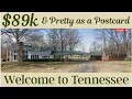 Have you seen this Tennessee Property 89k Acres of LAND