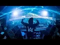 Download Lagu Alan Walker - The Spectre (Remix) [1 Hour]