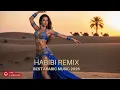Sahara Nights Mix 🎧 | Habibi Night Chill Flow