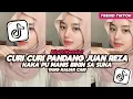 Lagu DJ KAKA PU MANIS BIKIN SA SUKA CURI CURI PANDANG JUAN REZA ELART REMIX FULL SONG VIRAL 2026