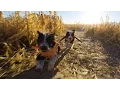 I love Puppies in Costumes - Behind the Scenes