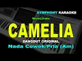 Download Lagu CAMELIA KARAOKE NADA COWOK/PRIA | Rhoma irama
