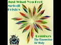 Just What You Feel (Original Mix)