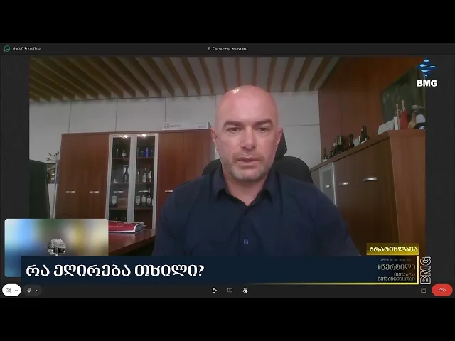 რაზეა დამოკიდებული თხილის ფასი და როგორ მოსავალს ელოდება წელს საქართვეელო?