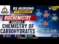 Chapter 5 Carbohydrates Biochemistry 1st Semester BSN Nursing 2026 One-Shot