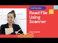 Read a File using Scanner class JAVA Code Examples