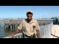 Park and Preserve Maintenance Worker - I Am Pinellas County