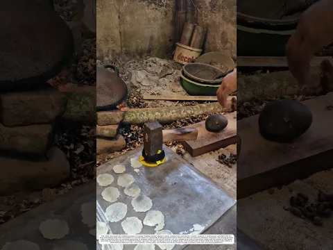 Traditional *Emping* Processing: How Pounding Transforms *Melinjo* Seeds