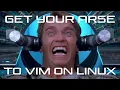 Who is Linux Python vim git for You re who Linux Python vim git are for