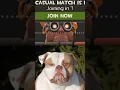 TF2 cosmetics are a bit too real sometimes