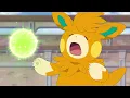 You need energy Pawmot